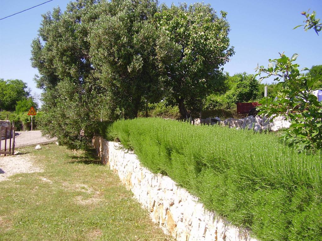 לון Apartments Krusvina מראה חיצוני תמונה