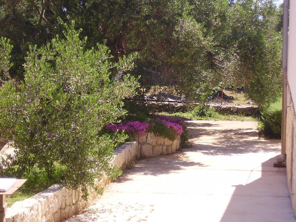 לון Apartments Krusvina מראה חיצוני תמונה