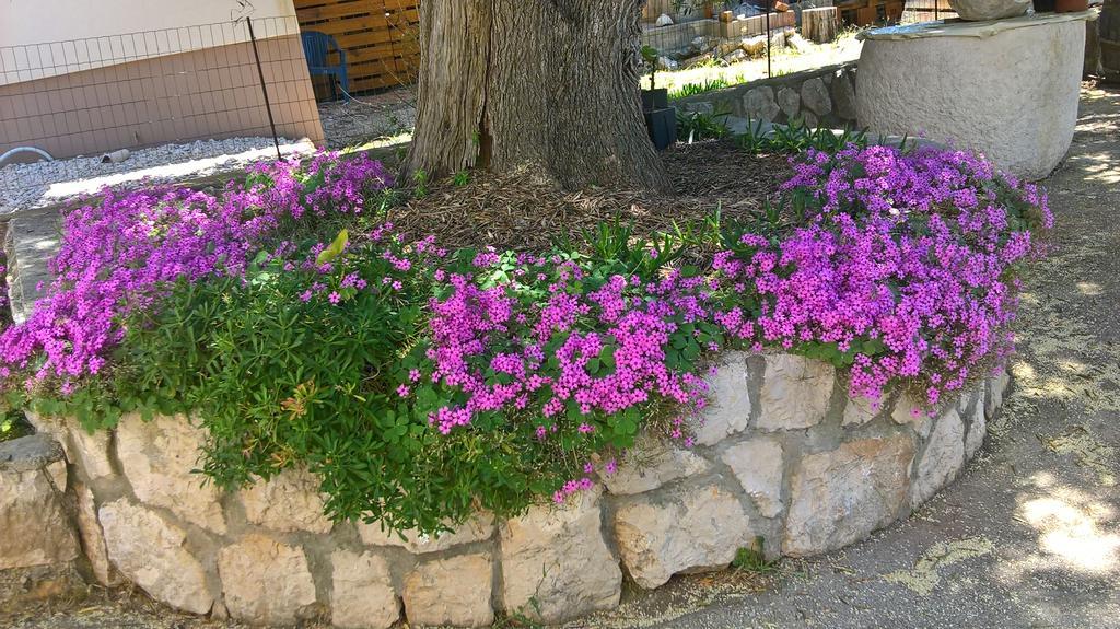לון Apartments Krusvina מראה חיצוני תמונה