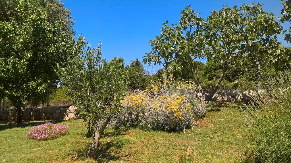 לון Apartments Krusvina מראה חיצוני תמונה
