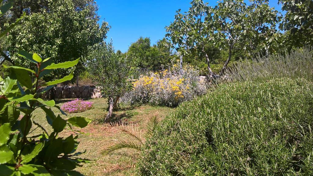 לון Apartments Krusvina מראה חיצוני תמונה